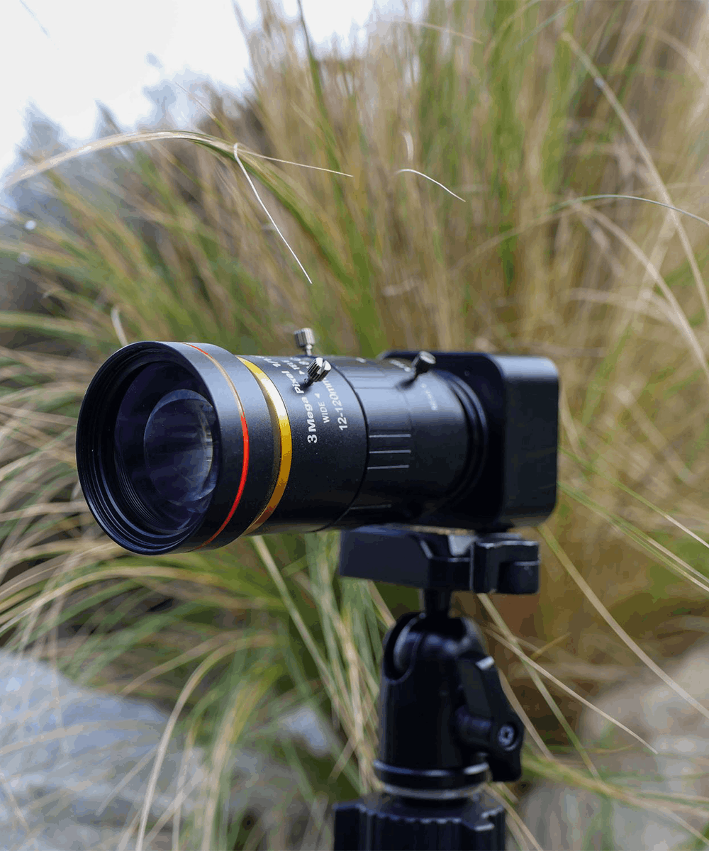 BlackCam 12-120mm zoom camera for BlackBox in nature environment with leaves