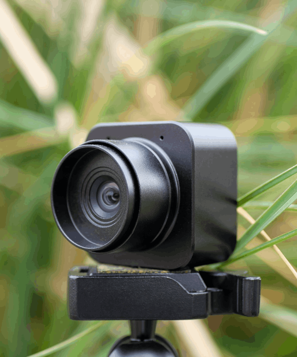 BlackCam 2.5mm camera for BlackBox in nature environment with leaves