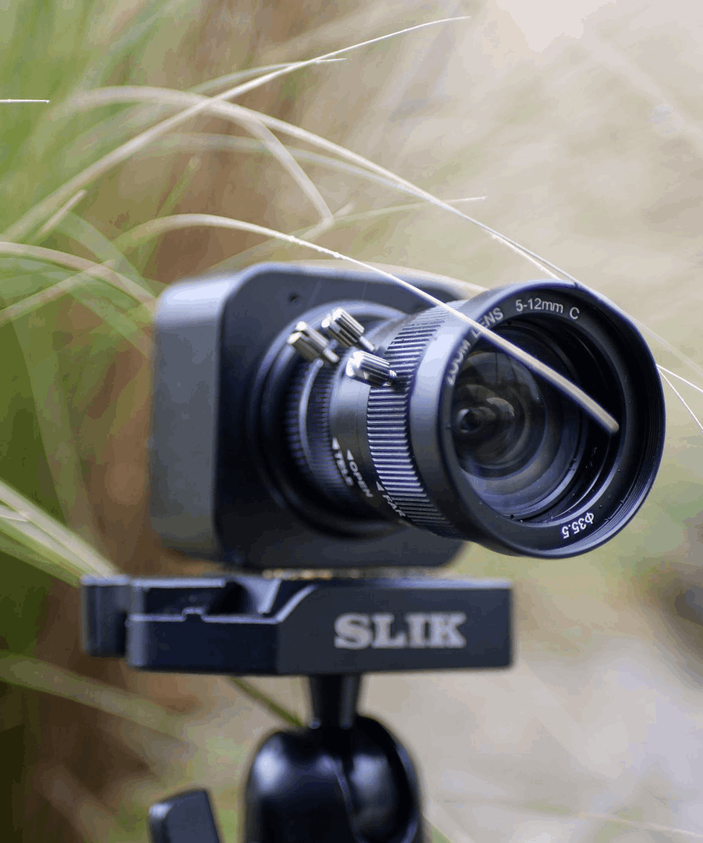 BlackCam 5-12mm zoom camera for BlackBox in nature with leaves
