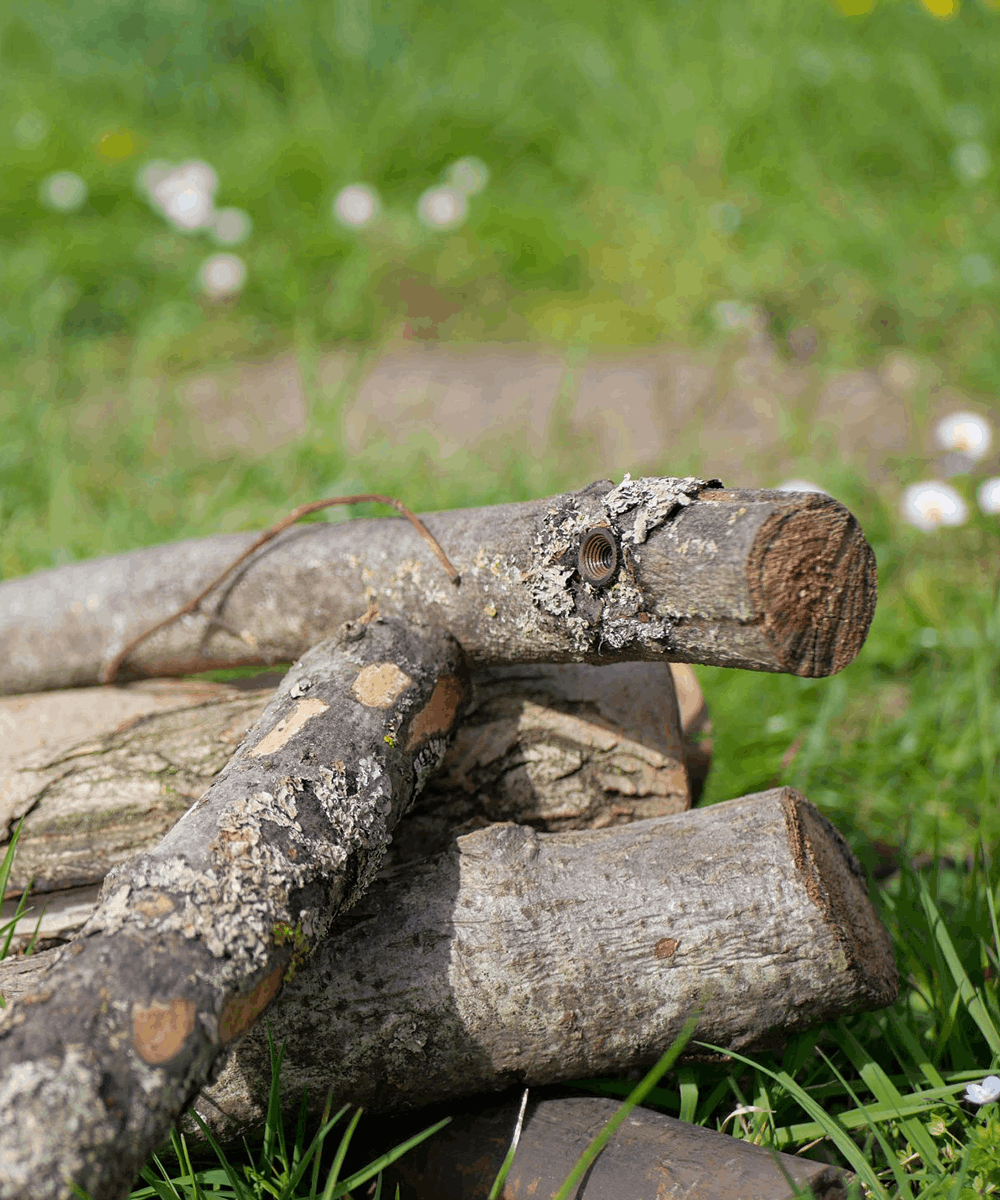 BlackCam branch camera for BlackBox in nature with wooden logs