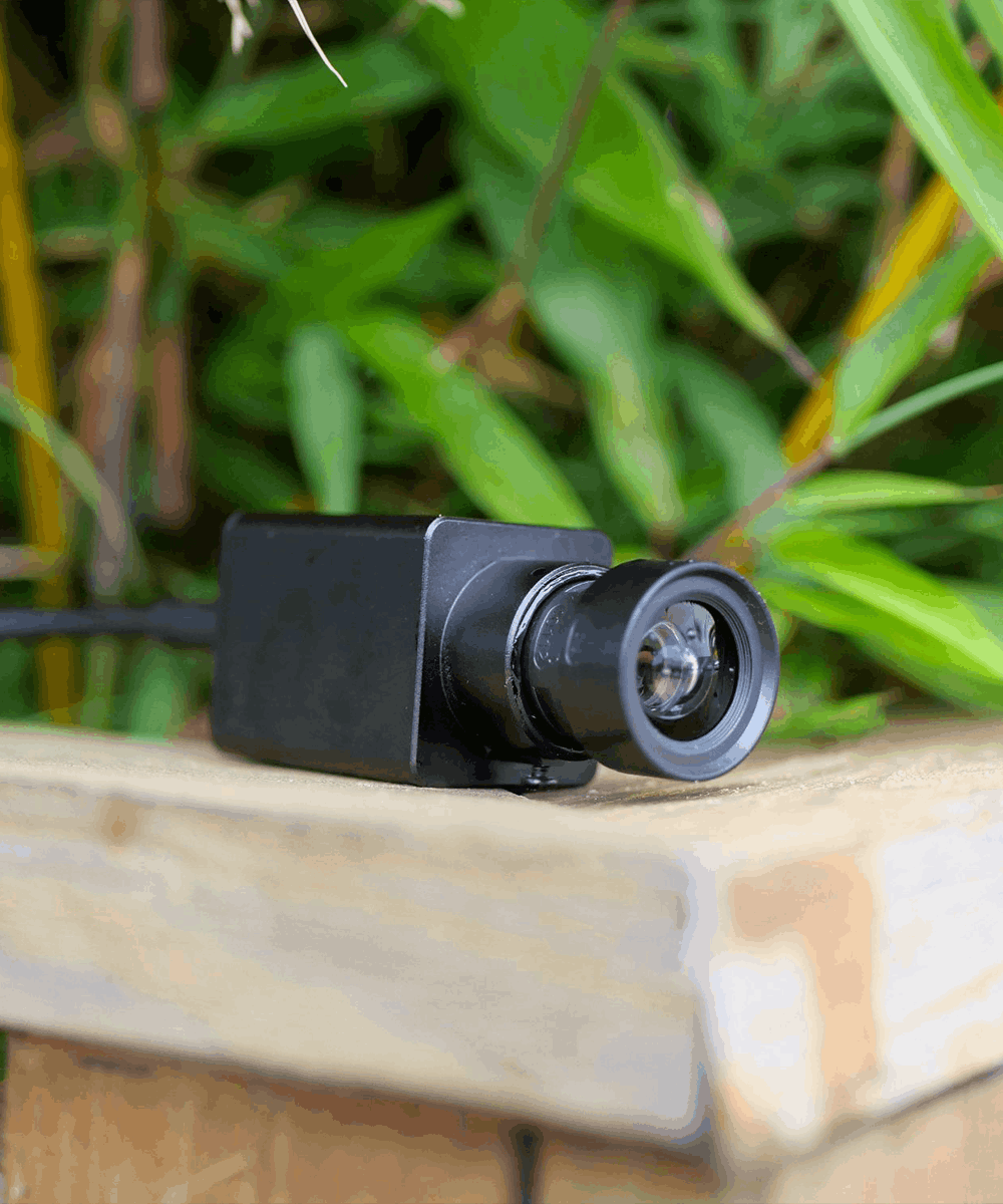 BlackCam starlight usb camera in nature environment 