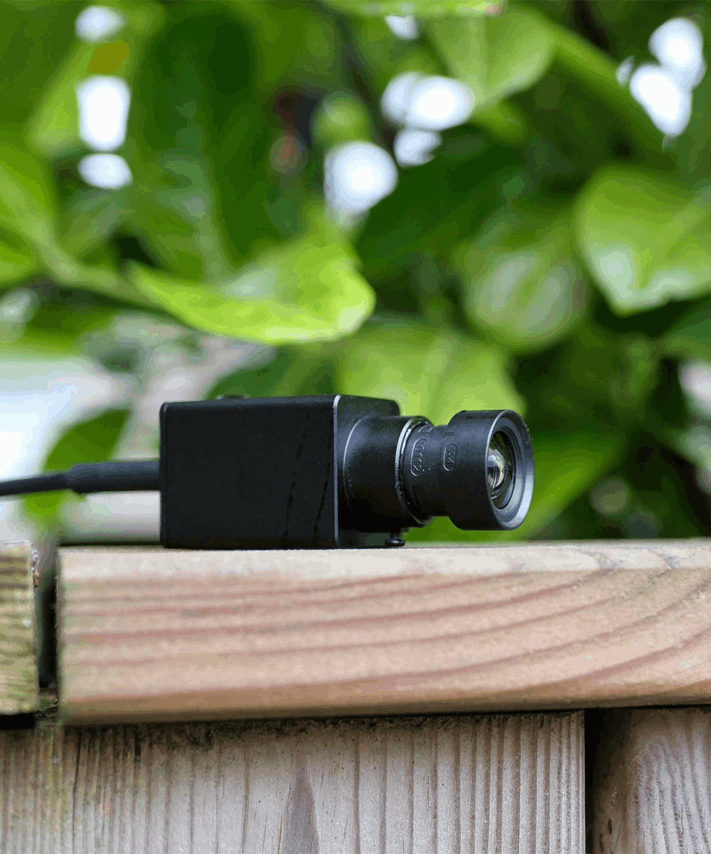 BlackCam starlight usb camera in nature environment with wood and leaves 