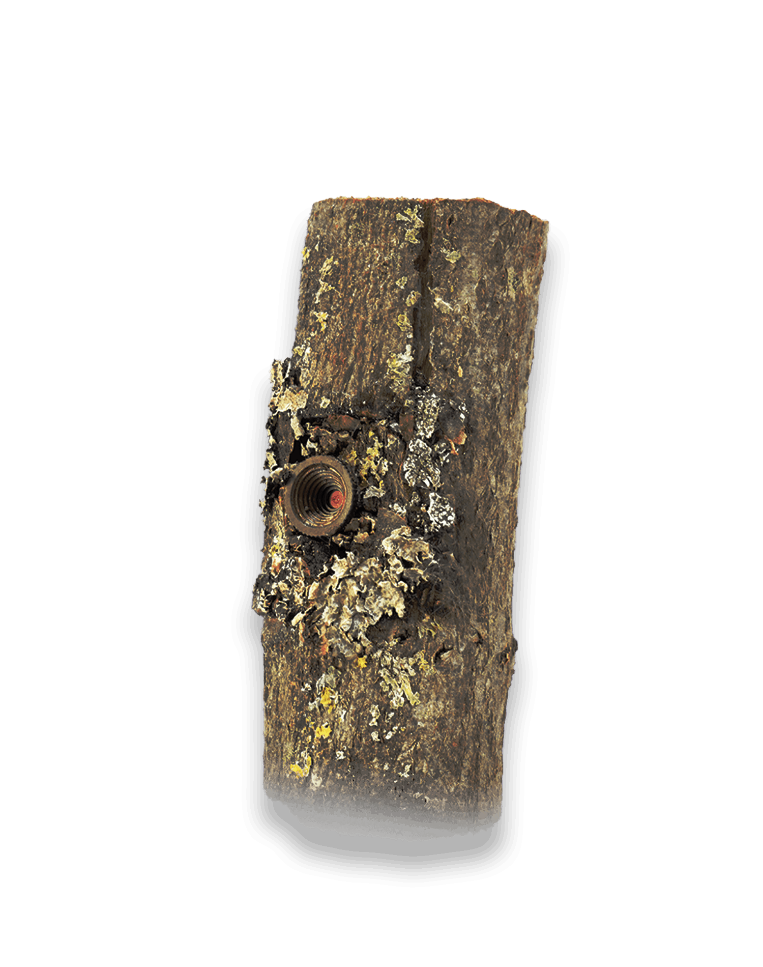 BlackCam branch for BlackBox with no background