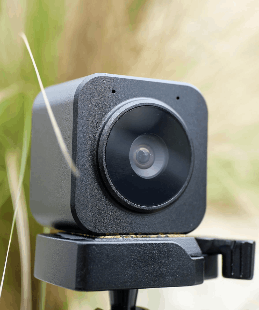 BlackCam autofocus camera for BlackBox in nature with leaves