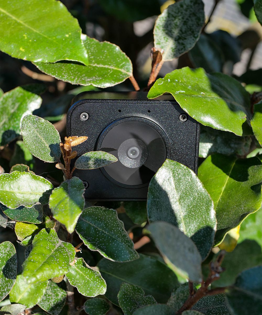 BlackCam Autofocus