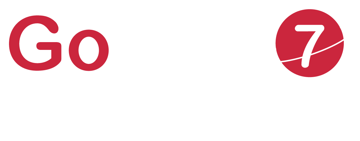 GoTEK7 Security Solutions